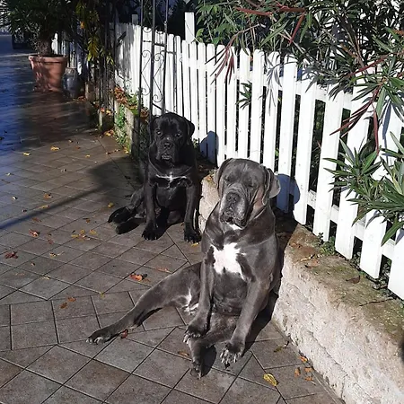 Abracadabra Bed & Breakfast Ravenna